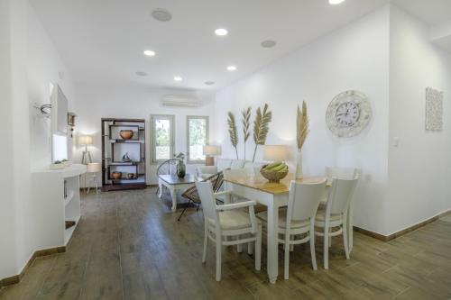 arethousa-house-paros-dryos-villa-4
